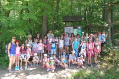 prazdninova_cinnost_SKD31