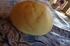 prazdninova_cinnost_SKD41