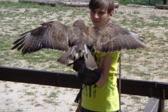 prazdninova_cinnost_SKD55