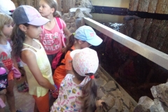 prazdninova_cinnost_SKD57