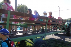 prazdninova_cinnost_SKD60