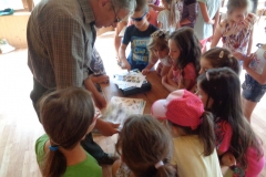 prazdninova_cinnost_SKD63