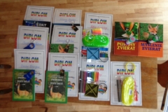 prazdninova_cinnost_SKD67