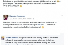 prazdninova_cinnost_SKD85