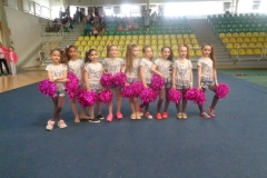 30531159_567012883676293_9064159265639366656_o